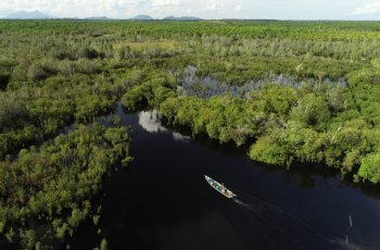 Indonesia aerial