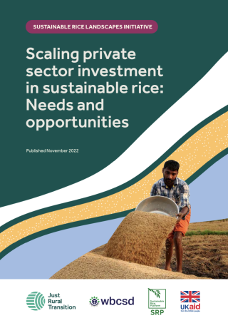 Scaling private sector investment in sustainable rice: Needs and opportunities