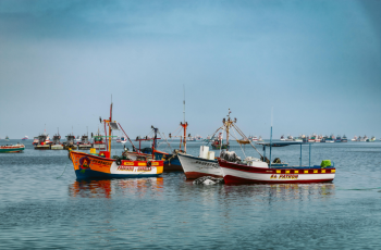 Credit: Gilmer Diaz Estela